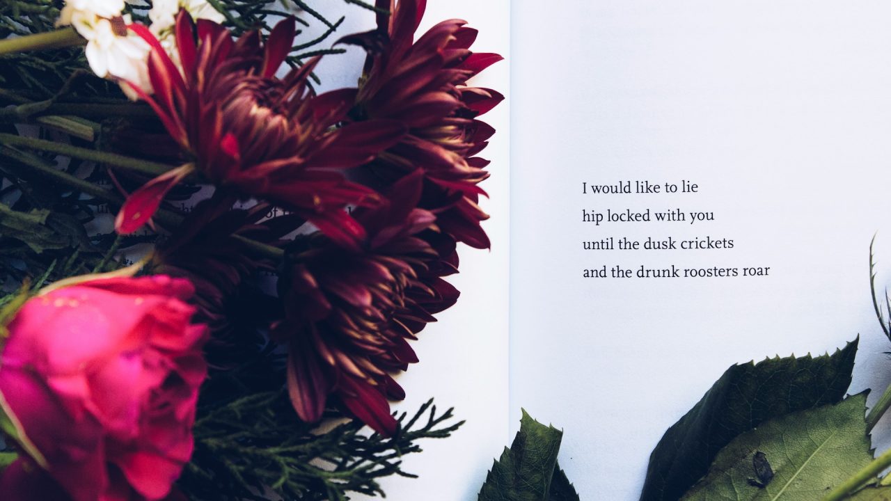 साहित्यिक अभिव्यक्ति और भाषाई विकास: वायरल शायरी से लेकर कश्मीरी भाषा की जड़ों तक